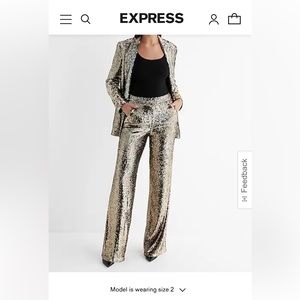 BRAND NEW Express Metallic Bronze Pants Size 10L